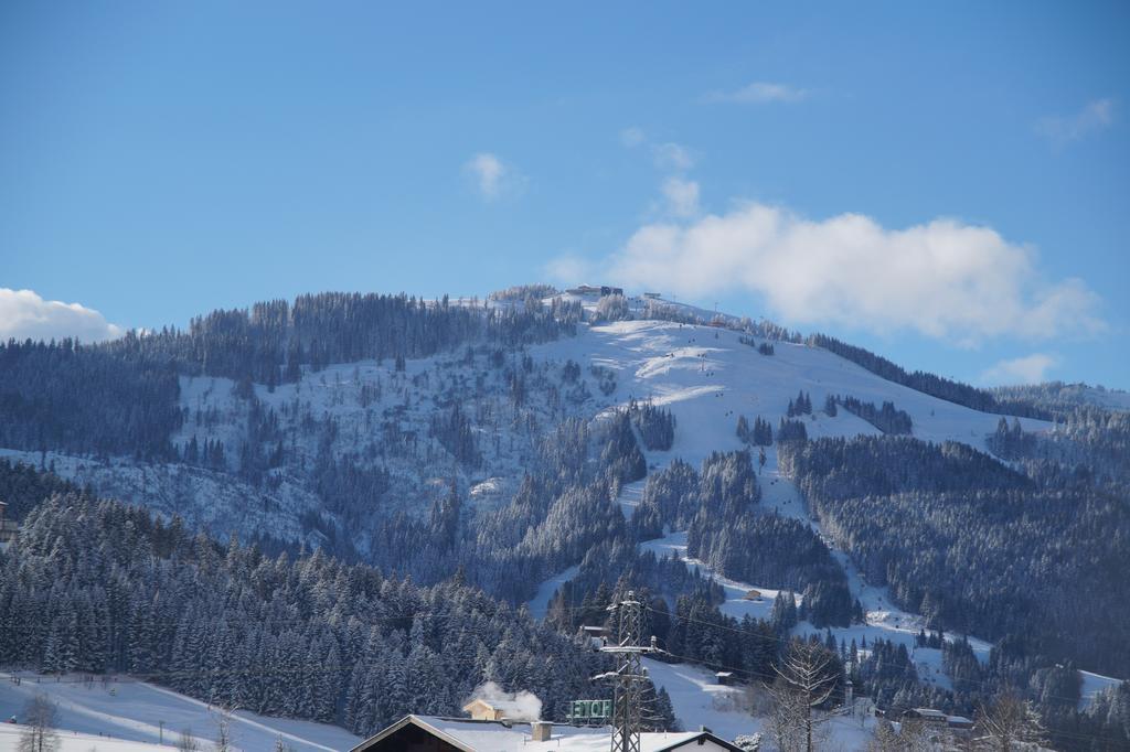 Appartements Retthaeusl Going am Wilden Kaiser المظهر الخارجي الصورة